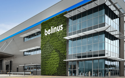 Belinus